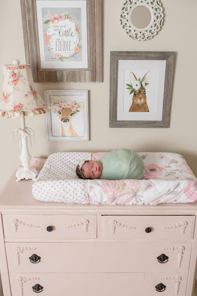Charlotte Newborn Photographer Lifestyle in-home
