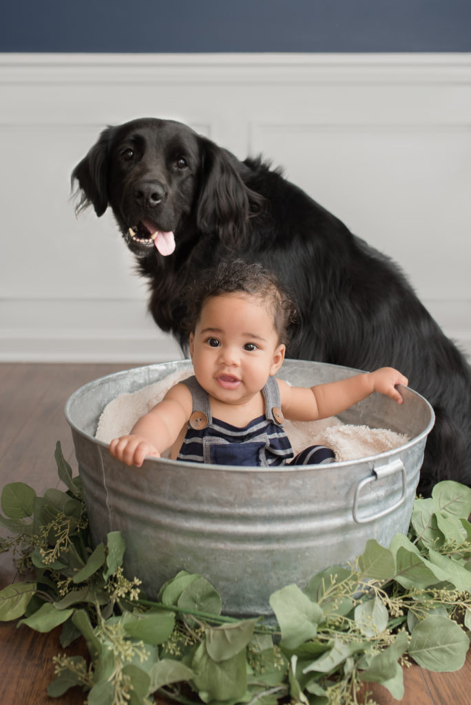 Milestone Newborn Charlotte Photographer with Dog