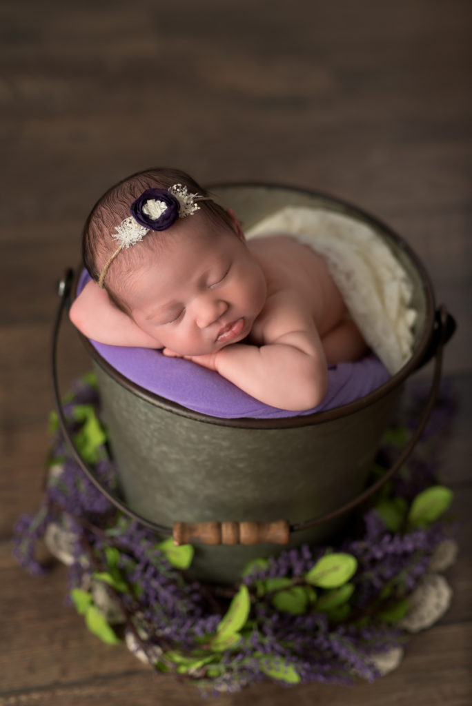 Studio bucket posed baby girl purple flowers