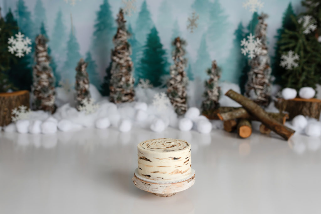 Birch Tree Wooden Winter Smash Cake Photography Setup