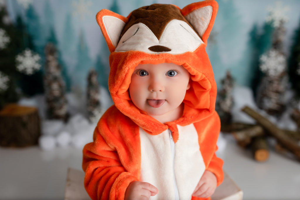 Baby boy cute fox sticking tongue out looking at camera in studio