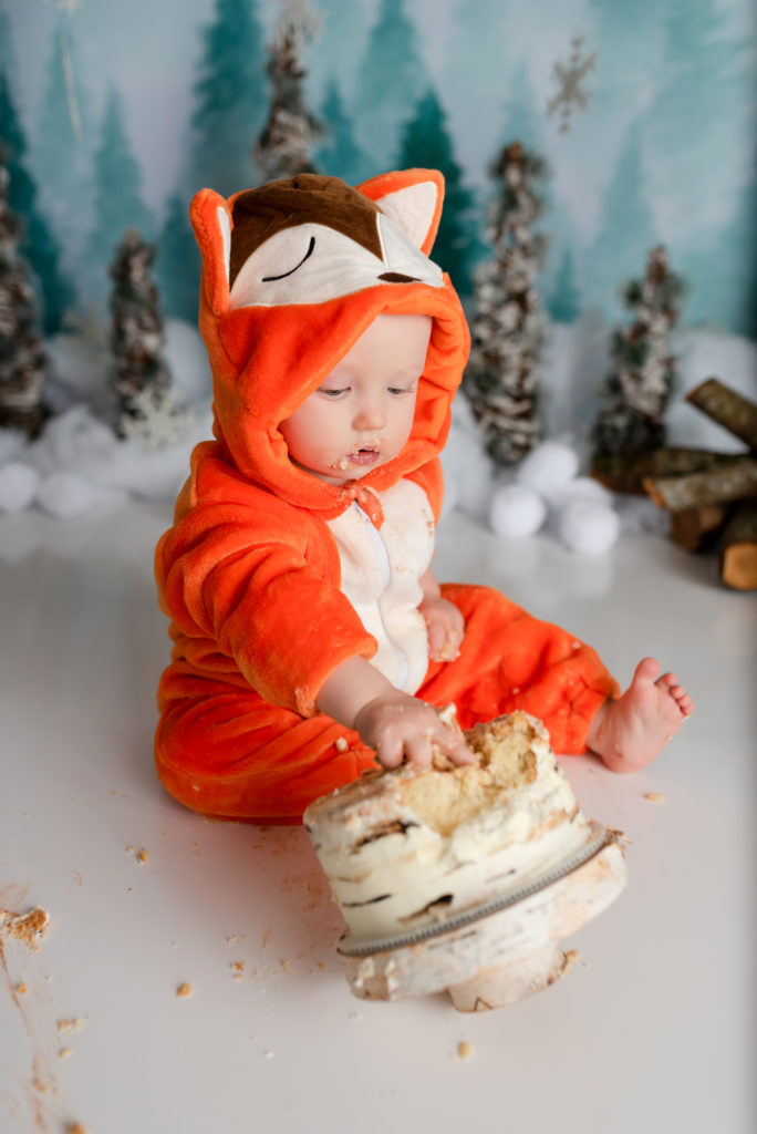 wood textured cake being smash by little boy in fox costume in studio