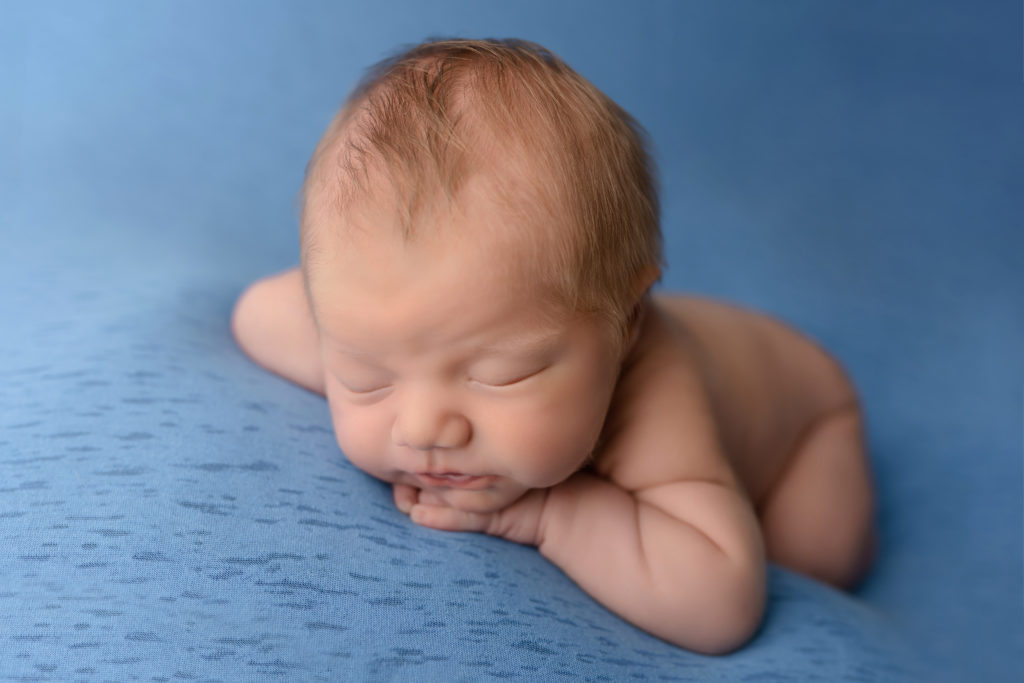 Resting baby blue background cute head closed eyes