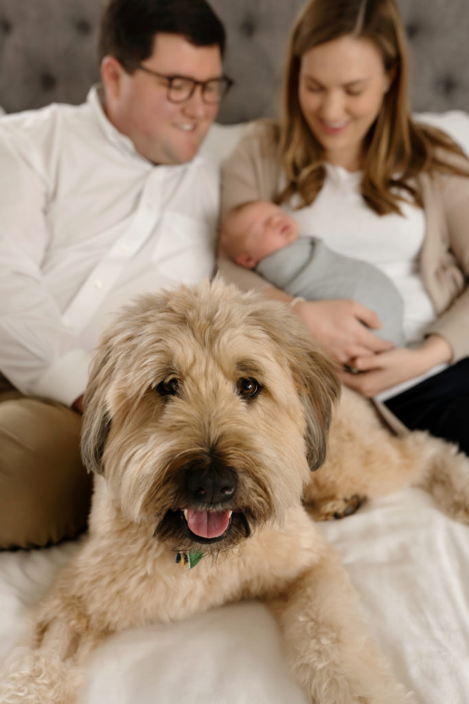 full family with dog and newborn on bed happy in white