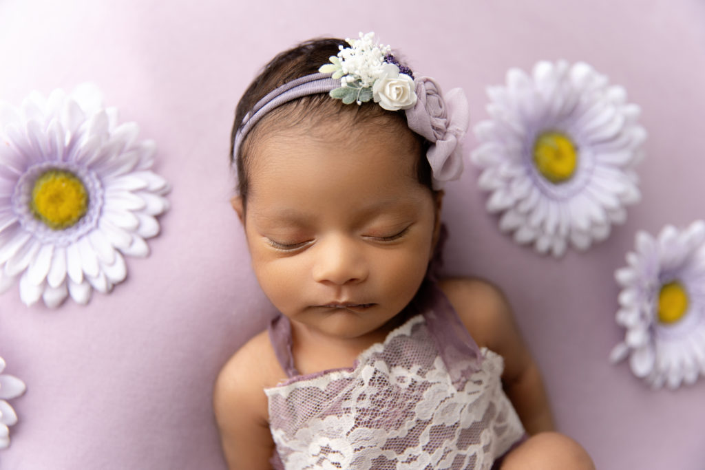 newborn girl in purple with daisy on backdrop