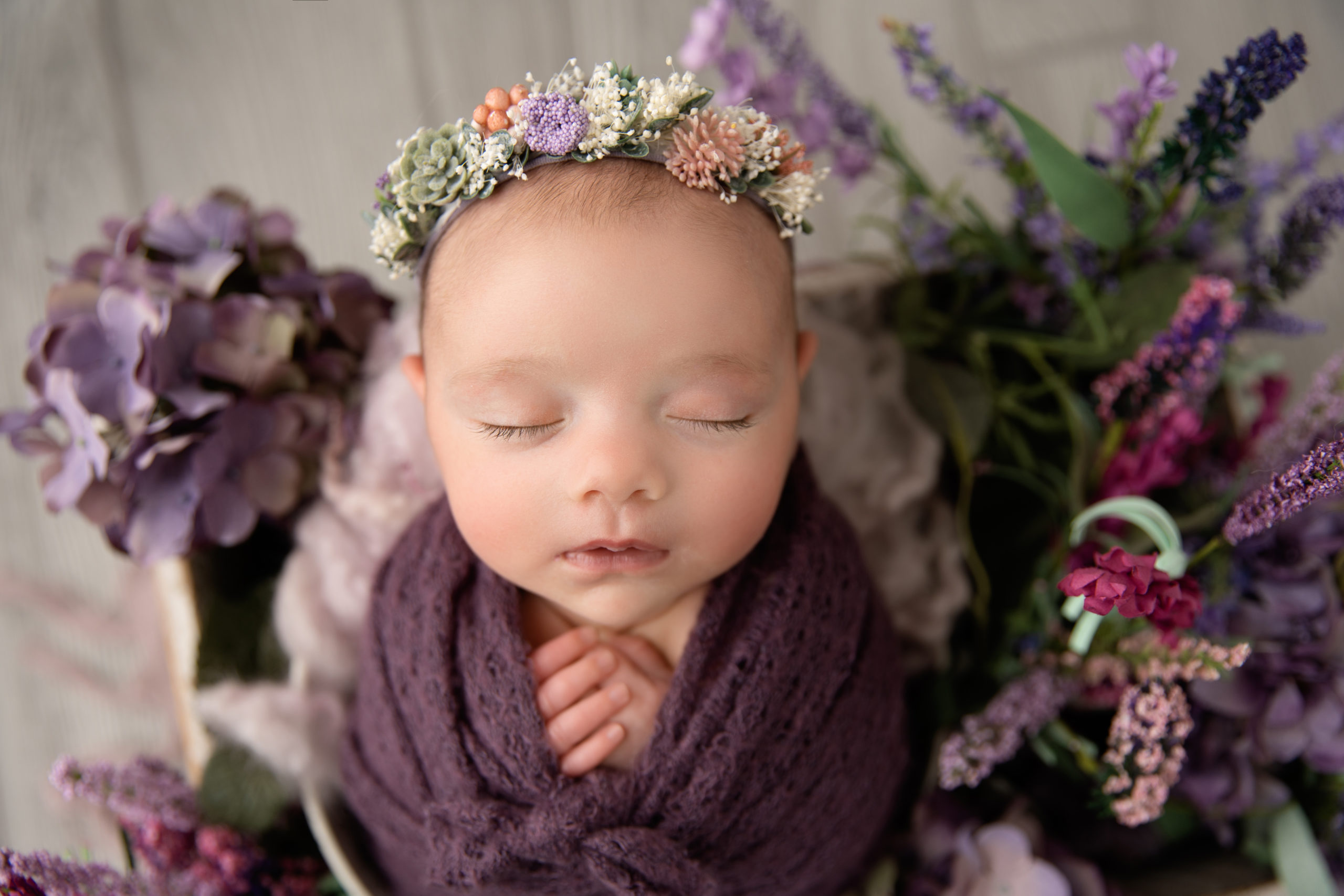 newborn girl in purple floral set up