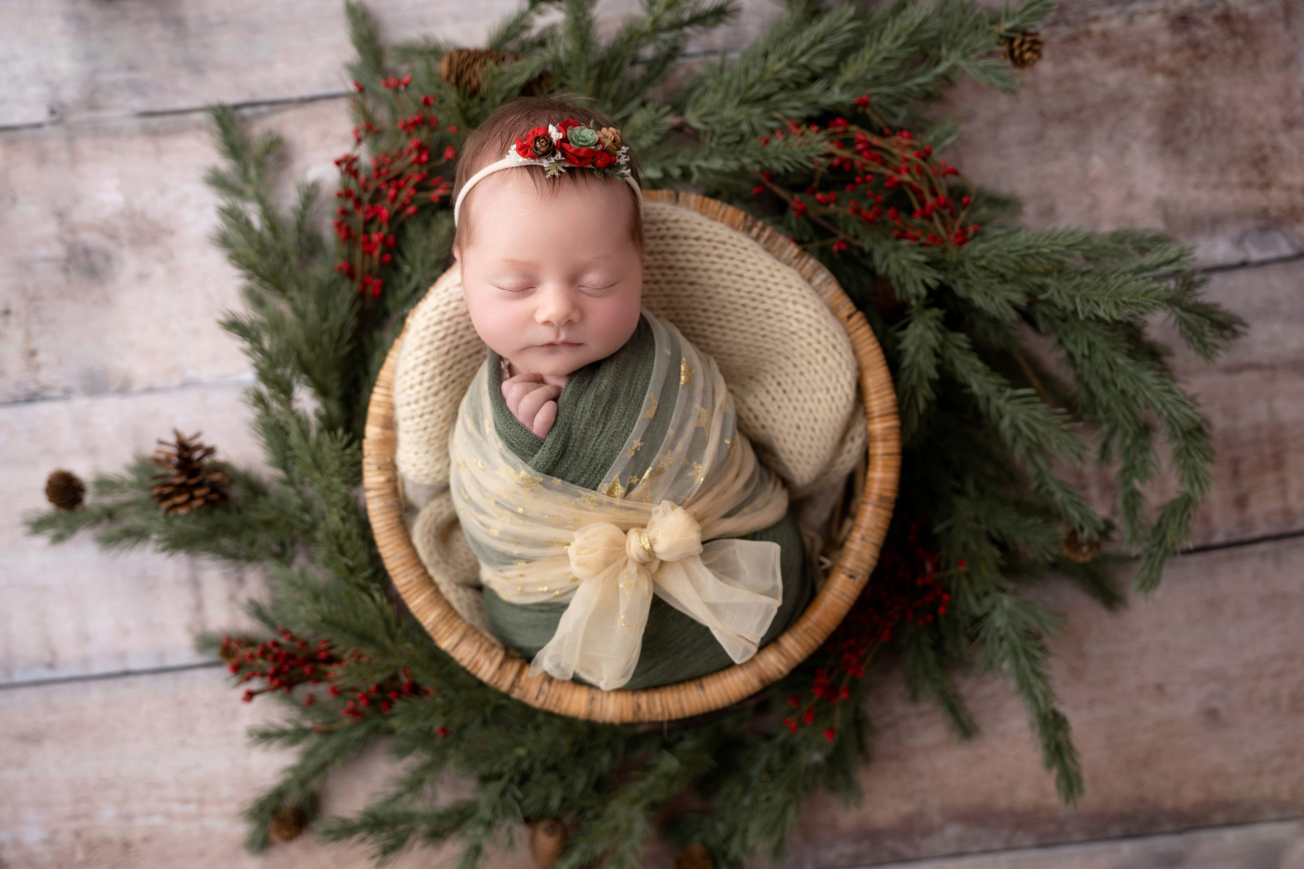 newborn girl in evergreen and holly set up