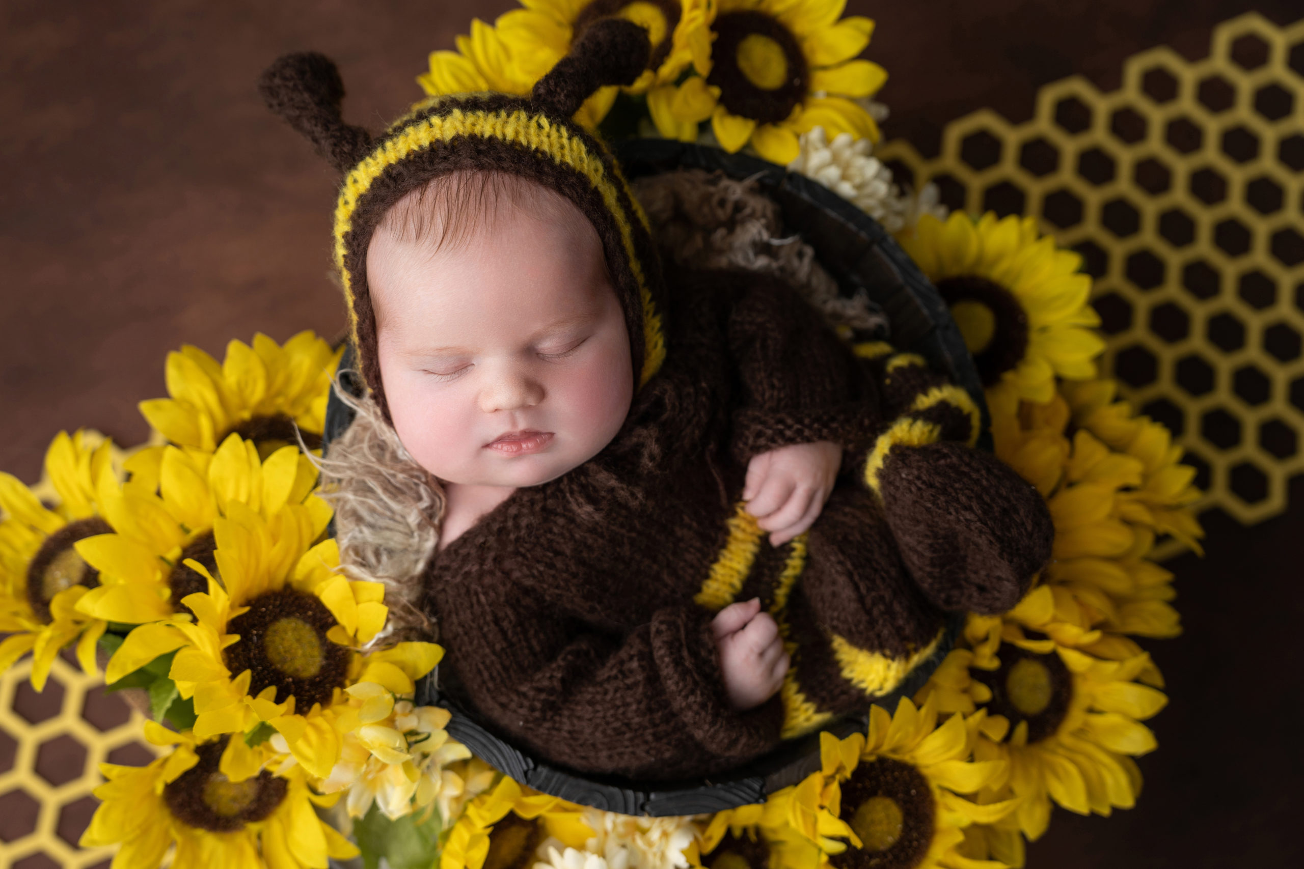 newborn girl dressed as bee