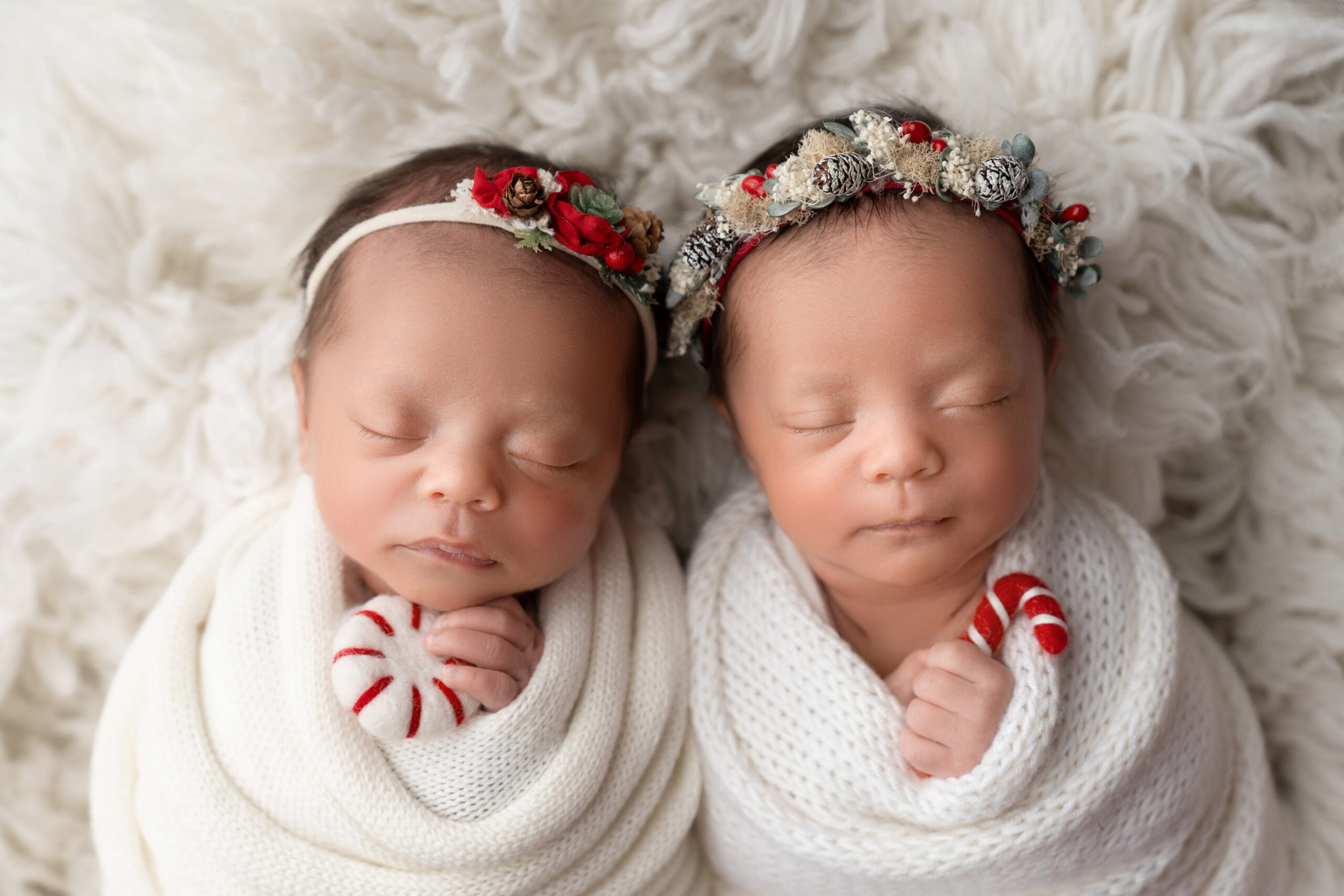newborn twin holiday session