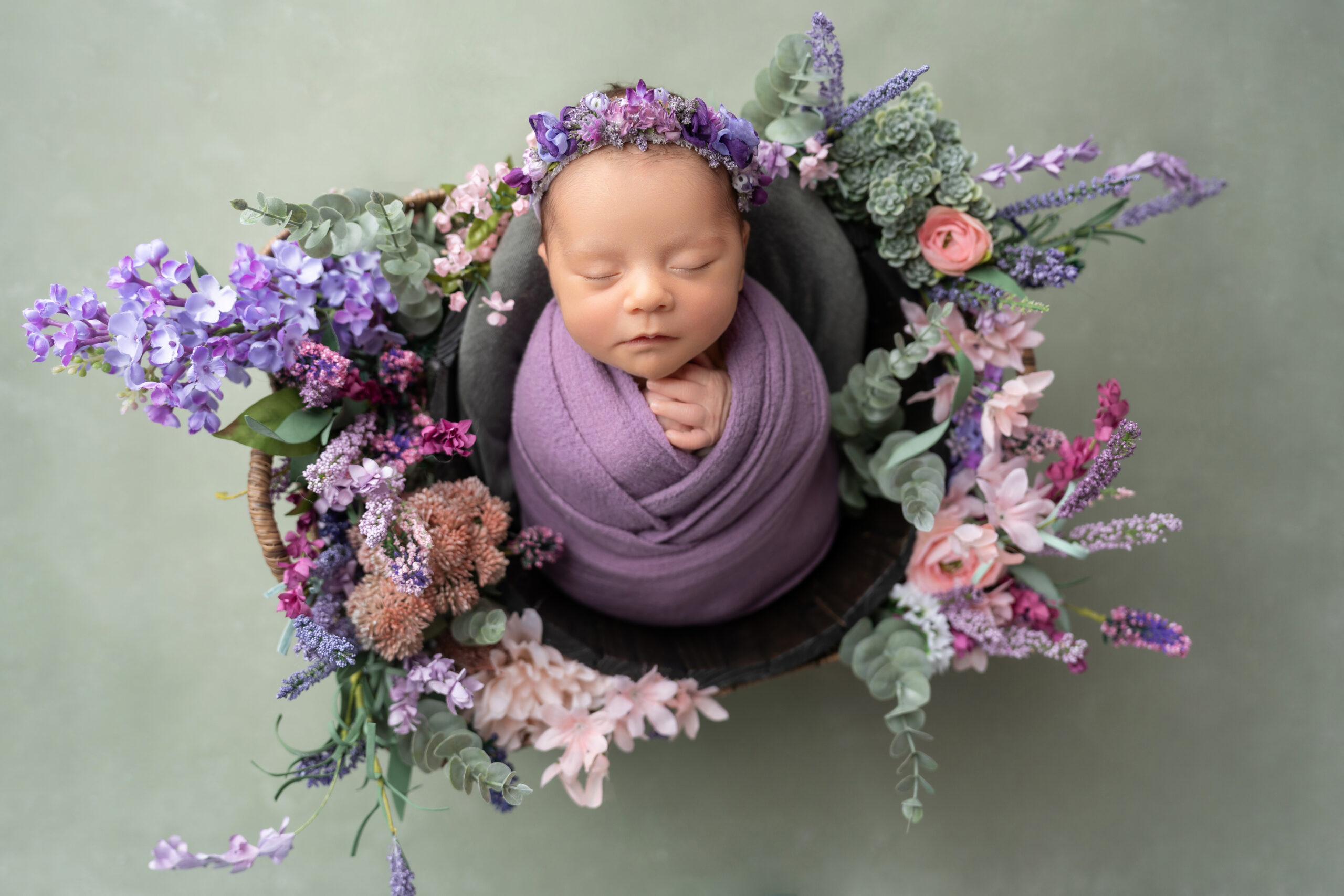 purple and pink newborn girl photography session